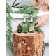 Kaukė – augimo aktyvatorius plaukams „Bio Rehab“ 250 g.